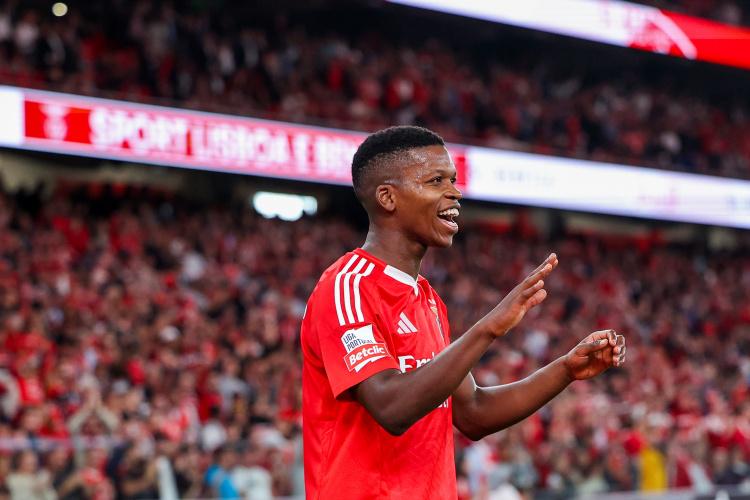 要的话, 科内相继受 要的话, 科内相继受