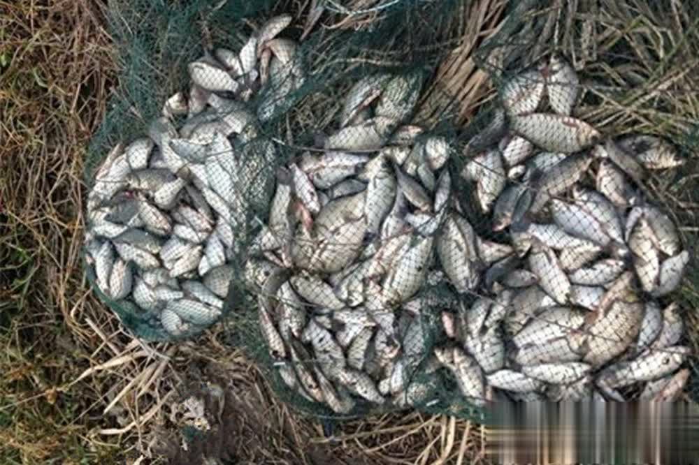 img, 这个方法的