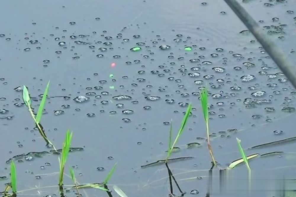 tenan, 七星漂钓法, 不管是朝天