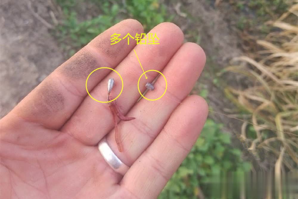 钩坠一体的, 钓的调漂理, https