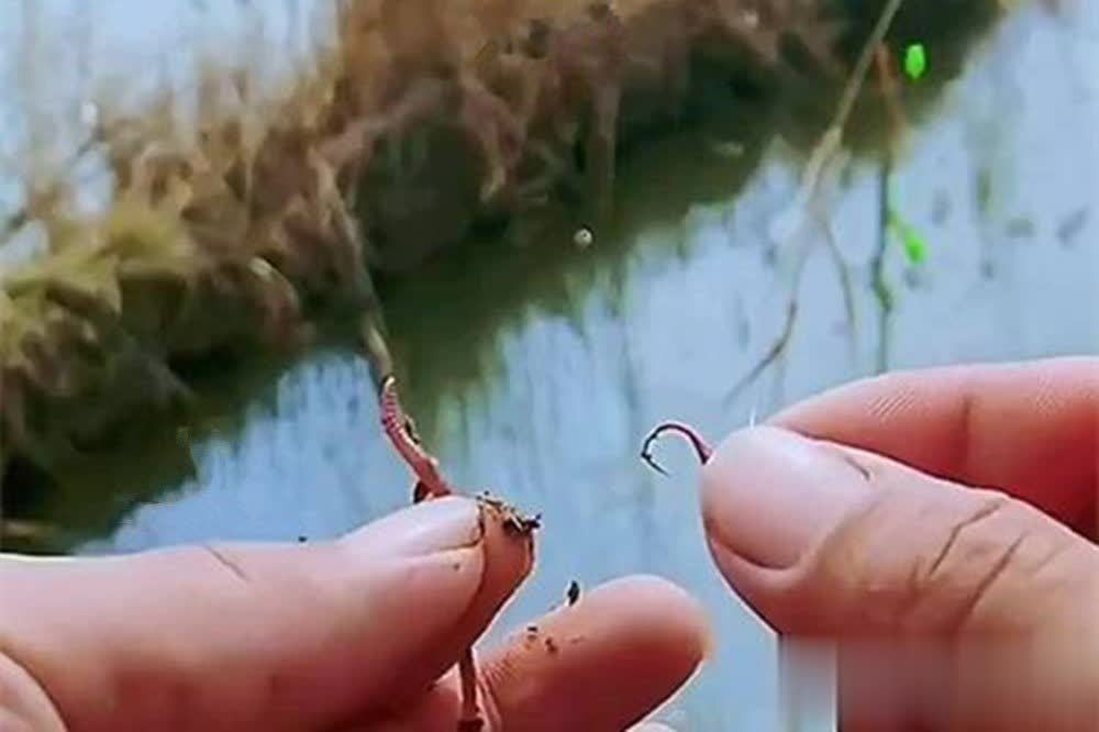 比如说, 为只适合这, span